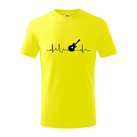 EKG akustická kytara