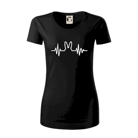 EKG zajíc
