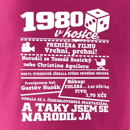 1980 v kostce