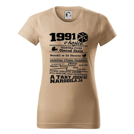 1991 v kostce