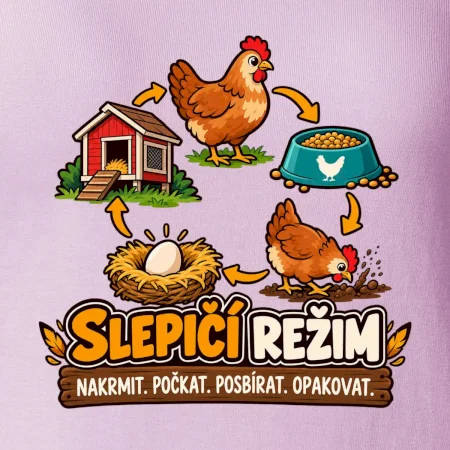 Slepičí režim od krmení po sběr vajec