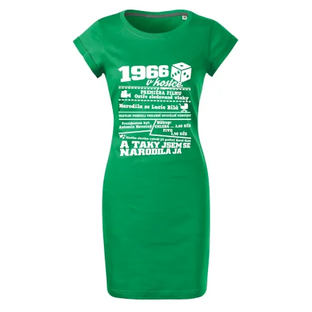 1966 v kostce