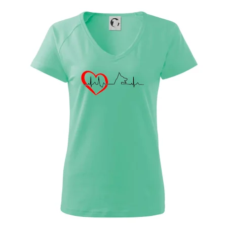 Německý ovčák ekg