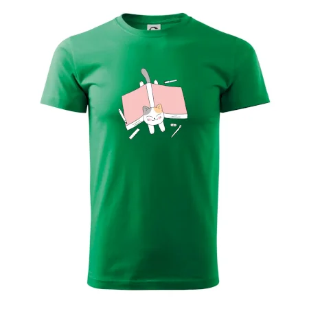 Učení na státnice kočka