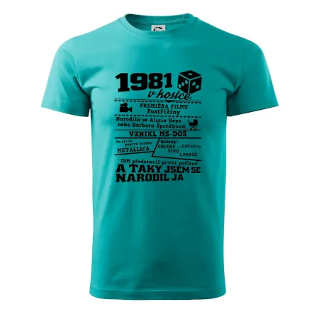 1981 v kostce