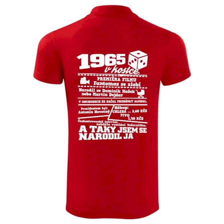 1965 v kostce