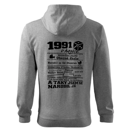1991 v kostce
