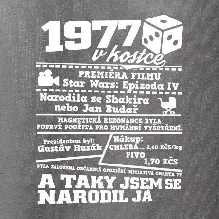 1977 v kostce