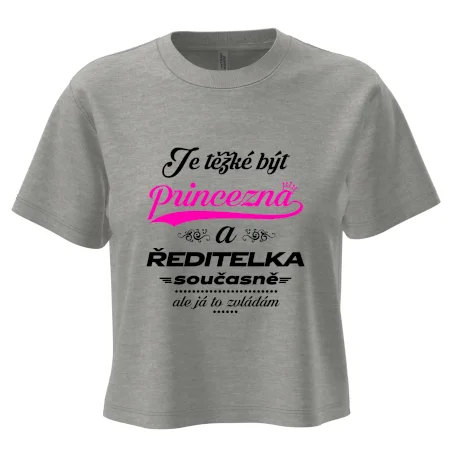 Je těžké být princezna - ředitelka