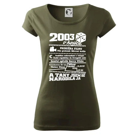 2003 v kostce