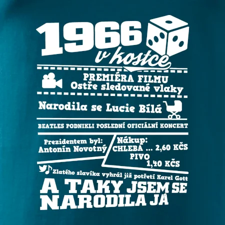 1966 v kostce