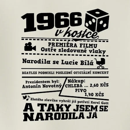 1966 v kostce