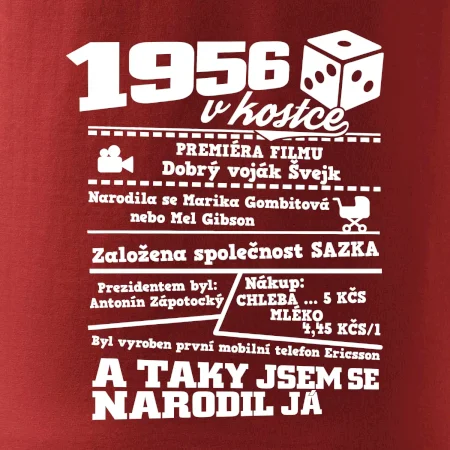 1956 v kostce