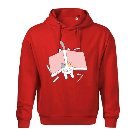 Učení na státnice kočka