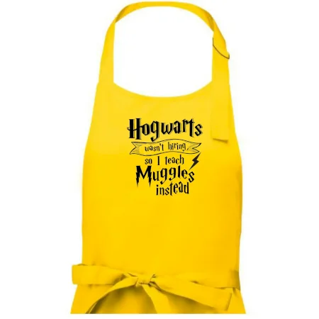 Harry - Hogwarts wasn’t hiring, so I teach Muggles instead