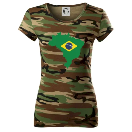 Brazílie vlajka v mapě