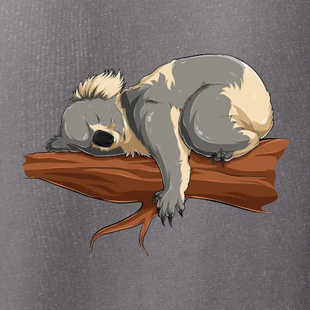Koala na větvi