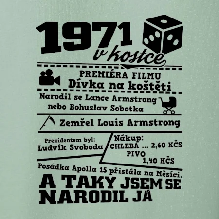 1971 v kostce