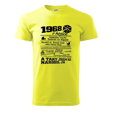 1968 v kostce