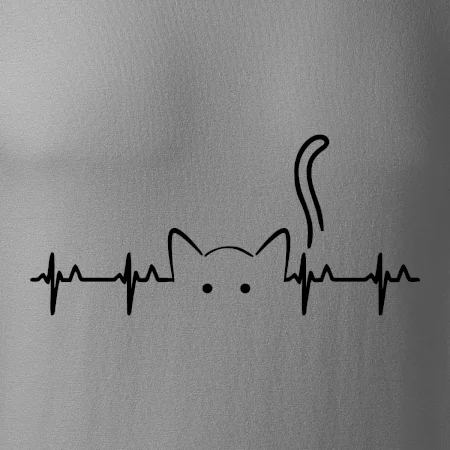 Kočka EKG