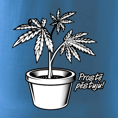 Konopi prostě pěstuju
