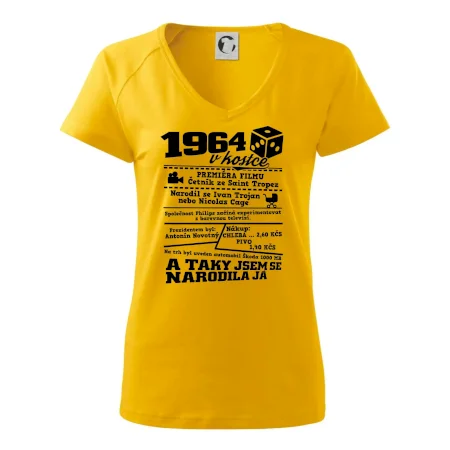 1964 v kostce