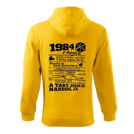 1984 v kostce