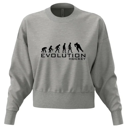 Evoluce Hockey - hráč