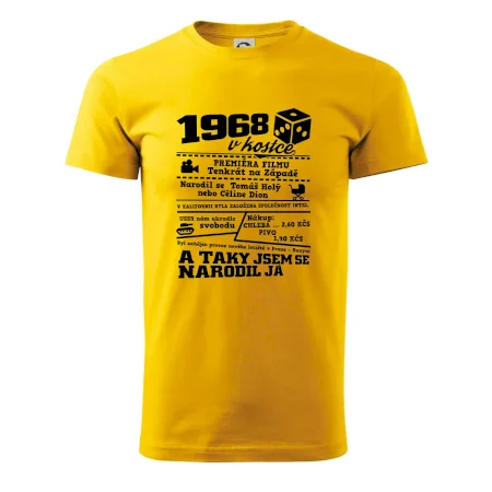 1968 v kostce