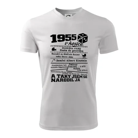 1955 v kostce
