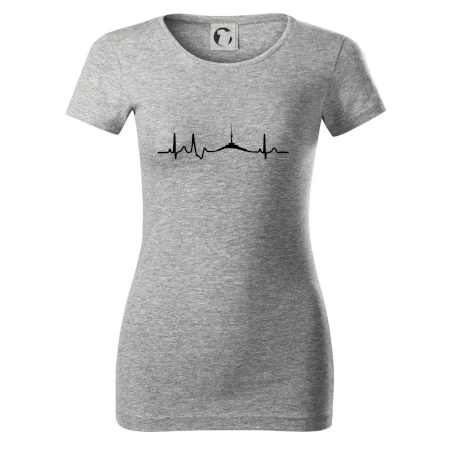 Ekg Jeseníky