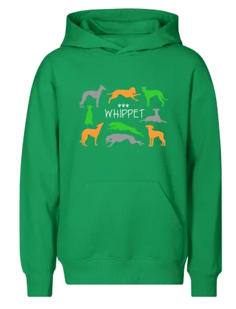 Whippet barevný