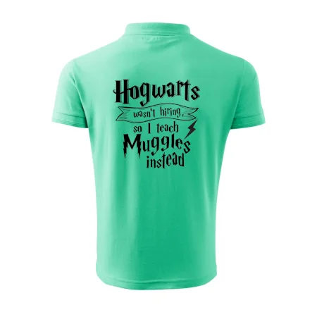 Harry - Hogwarts wasn’t hiring, so I teach Muggles instead