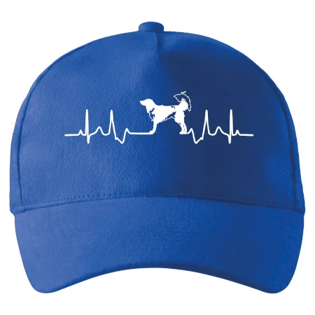 Český strakatý pes EKG