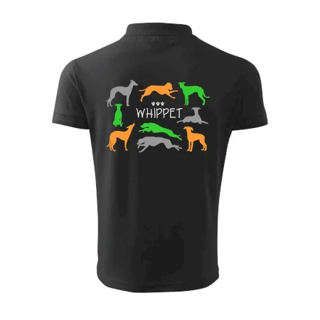 Whippet barevný