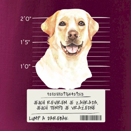 Lump a darebák labrador