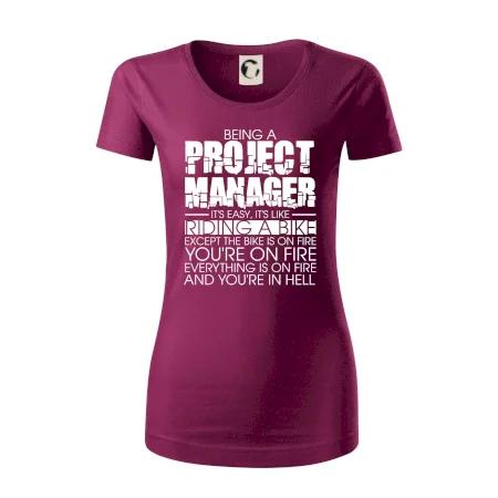 Being A Project Manager - bike