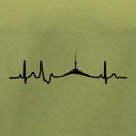 Ekg Jeseníky