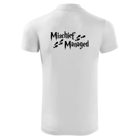 Harry - Mischief Managed