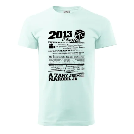 2013 v kostce