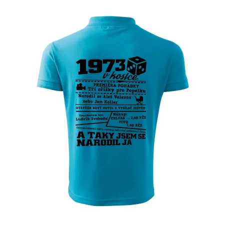 1973 v kostce