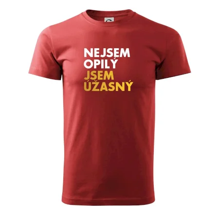 Nejsem opilý jsem úžasný