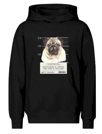 Lump a darebák mopsík