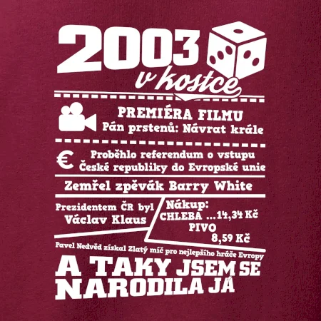 2003 v kostce