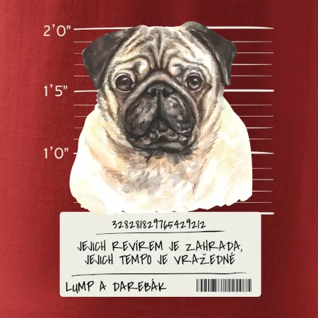 Lump a darebák mopsík