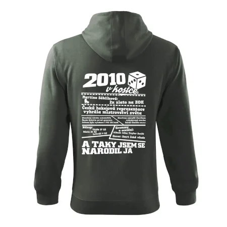 2010 v kostce