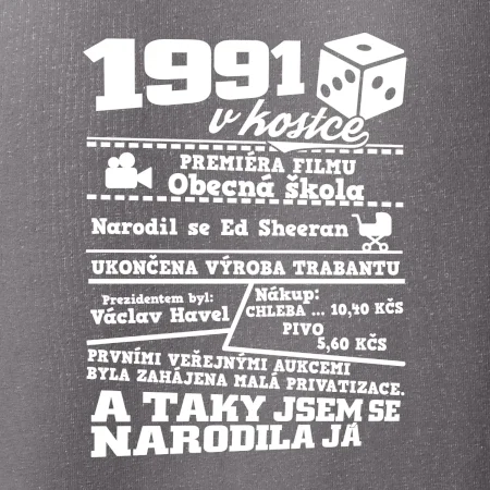 1991 v kostce