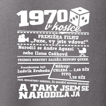 1970 v kostce