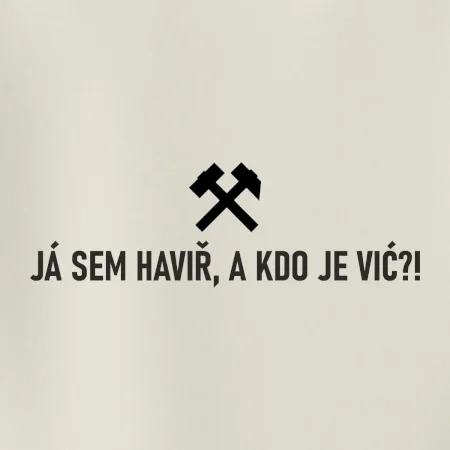 JÁ SEM HAVIŘ, A KDO JE VIĆ?!﻿