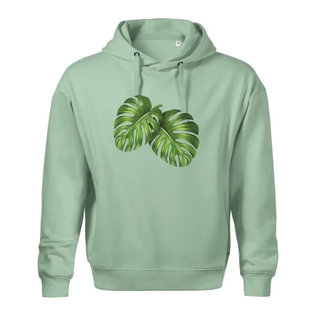 Monstera - dva listy